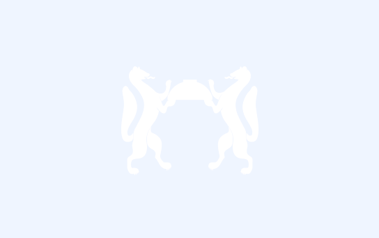 Информация налоговой инспекции